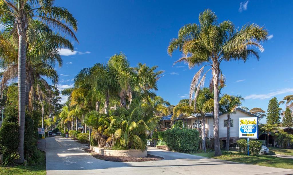 Mollymook Caravan Park Hotel Exterior foto