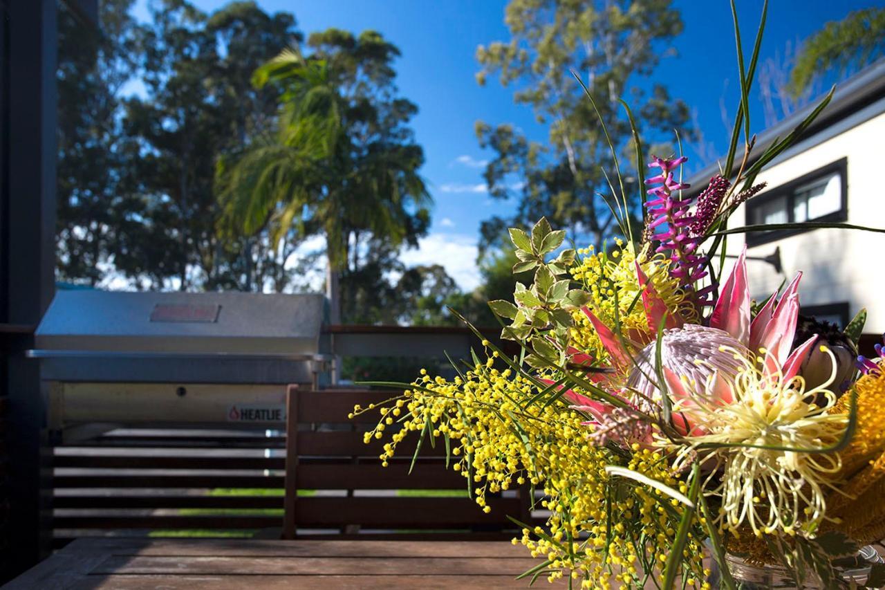 Mollymook Caravan Park Hotel Exterior foto